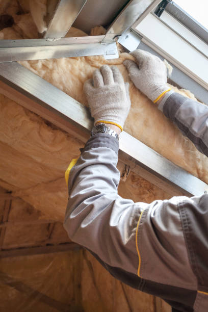 Insulation Inspection Services in Reserve, LA